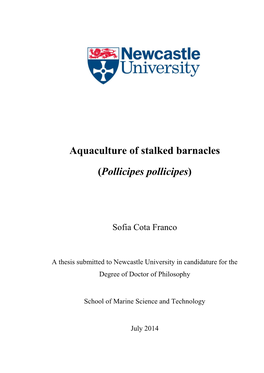 Aquaculture of Stalked Barnacles (Pollicipes Pollicipes)
