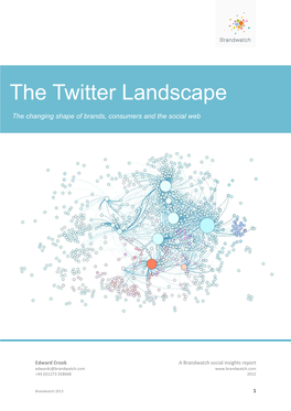 The Twitter Landscape