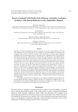 Insects Associated with Fruits of the Oleaceae (Asteridae, Lamiales) in Kenya, with Special Reference to the Tephritidae (Diptera)