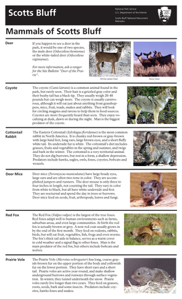 Mammals of Scotts Bluff