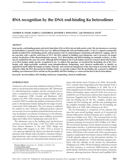 RNA Recognition by the DNA End-Binding Ku Heterodimer