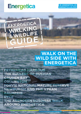 Walk on the Wild Side with Energetica