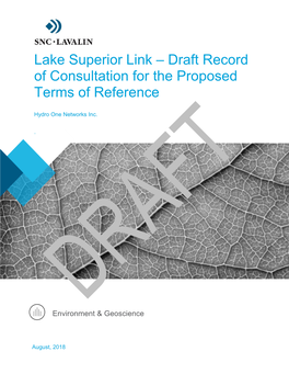 Lake Superior Link – Draft Record of Consultation for the Proposed Terms of Reference