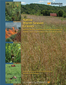 Native Warm-Season Grasses Identification, Establishment and Management for Wildlife and Forage Production in the Mid-South