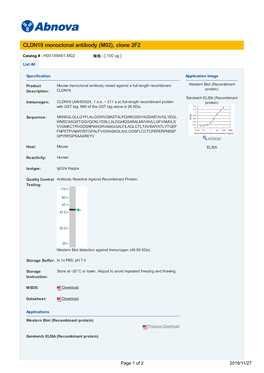 CLDN19 Monoclonal Antibody (M02), Clone 2F2