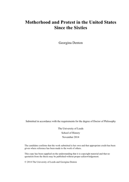 Motherhood and Protest in the United States Since the Sixties