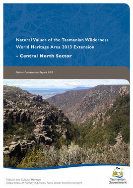 Natural Values of the TWWH 2013 Extension