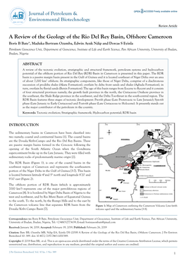 A Review of the Geology of the Rio Del Rey Basin, Offshore Cameroon