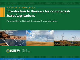 Introduction to Biomass for Commercial-Scale Applications