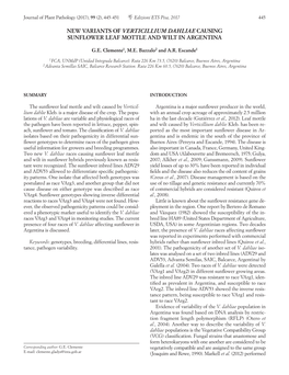 New Variants of Verticillium Dahliae Causing Sunflower Leaf Mottle and Wilt in Argentina