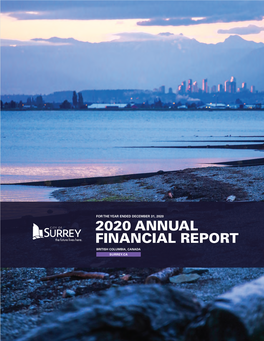 2020 Annual Financial Report