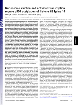 Nucleosome Eviction and Activated Transcription Require P300 Acetylation of Histone H3 Lysine 14