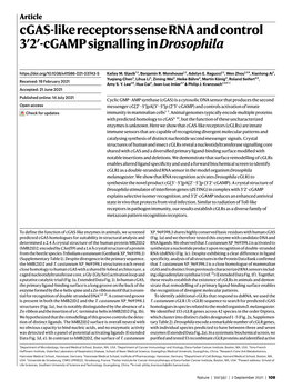 Cgas-Like Receptors Sense RNA and Control 3′2′-Cgamp Signalling in Drosophila