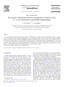 The Genetic Relationship Between Encephalartos Natalensis and E