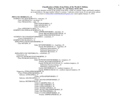 Fotw Classification Detailed Version