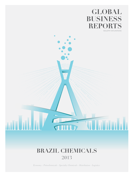 Specialty Chemicals - Distribution - Logistics Brazil Will Be a Name That We Will Be Hear- Tor