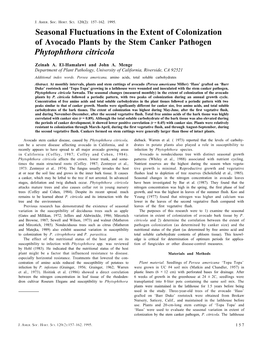 Seasonal Fluctuations in the Extent of Colonization of Avocado Plants by the Stem Canker Pathogen Phytophthora Citricola