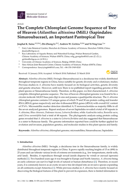 The Complete Chloroplast Genome Sequence of Tree of Heaven (Ailanthus Altissima (Mill.) (Sapindales: Simaroubaceae), an Important Pantropical Tree