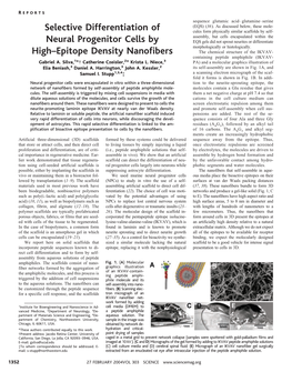 Selective Differentiation of Neural Progenitor Cells by High–Epitope