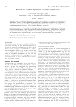 Natural and Artificial Hybrids in Mesembryanthemaceae