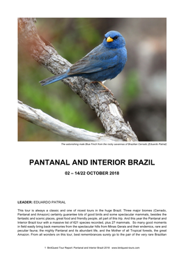 TOUR REPORT Pantanal and Interior Brazil 2018
