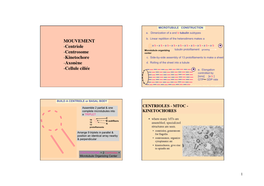 4B. BIO2-CYTOSKELETON-Mouvement