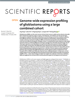 Genome-Wide Expression Profiling of Glioblastoma Using a Large