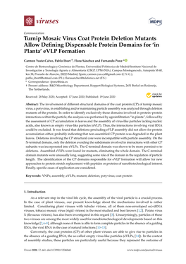 Turnip Mosaic Virus Coat Protein Deletion Mutants Allow Deﬁning Dispensable Protein Domains for ‘In Planta’ Evlp Formation