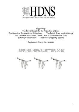 Spring Newsletter 2019
