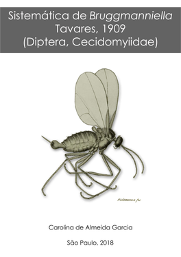 Diptera, Cecidomyiidae)