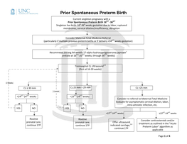 Prior Spontaneous Preterm Birth