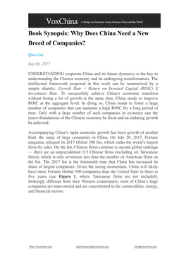 Book Synopsis: Why Does China Need a New Breed of Companies?