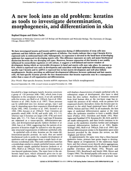 A New Look Into an Old Problem: Keratins As Tools to Investigate Determmanon, Morphogenesis, and Differentiation in Skin