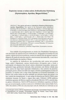 Espécies Novas E Notas Sobre Anthodioctes Holmberg (Hymenoptera, Apoidea, Megachilidae) 1