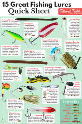 15 Best Fishing Lures