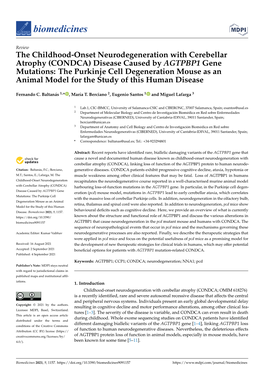 (CONDCA) Disease Caused by AGTPBP1 Gene Mutations: the Purkinje Cell Degeneration Mouse As an Animal Model for the Study of This Human Disease