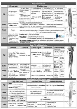 Quadriceps Muscle 1- Gracilis M. 2- Pectineus M. 3- Adductor Longus M. 4