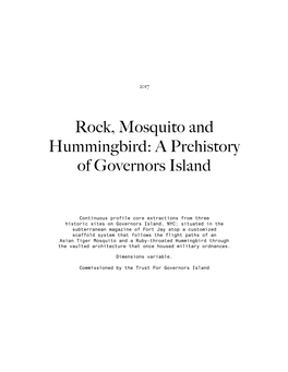 Rock, Mosquito and Hummingbird: a Prehistory of Governors Island