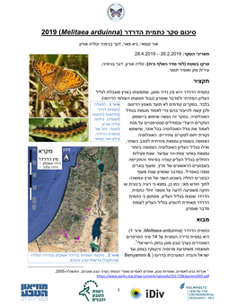 2019 ) ( כתמית הדרדר סיכום סקר Melitaea Arduinna