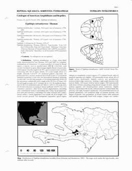 Serpentes: Typhlopidae Typhlops Tetrathyreus