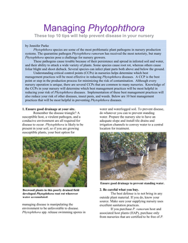 Managing Phytophthora These Top 10 Tips Will Help Prevent Disease in Your Nursery