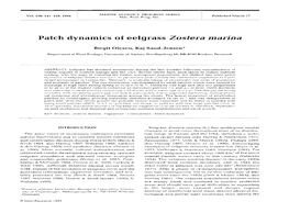 Patch Dynamics of Eelgrass Zostera Marina