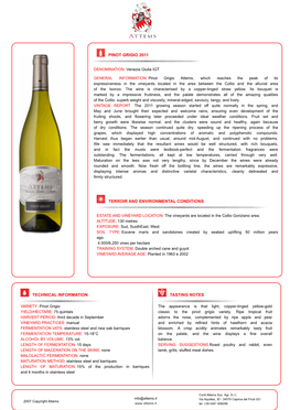 Pinot Grigio 2011 Terroir and Environmental Conditions