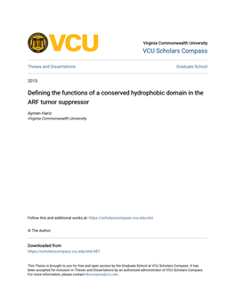 Defining the Functions of a Conserved Hydrophobic Domain in the ARF Tumor Suppressor