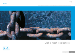 Global Reach Local Service