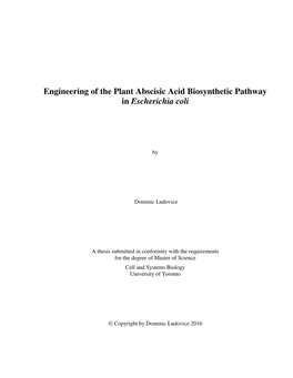 Engineering of the Plant Abscisic Acid Biosynthetic Pathway in Escherichia Coli