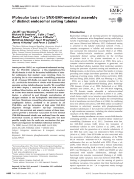 Molecular Basis for SNX-BAR-Mediated Assembly Of