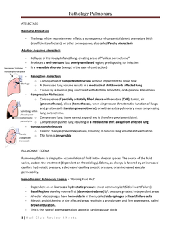 Path Pulmonary Outline