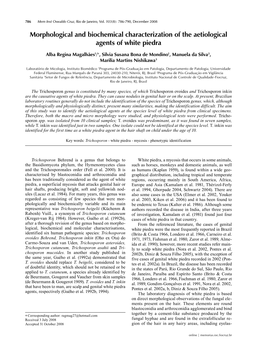 Morphological and Biochemical Characterization of the Aetiological Agents of White Piedra