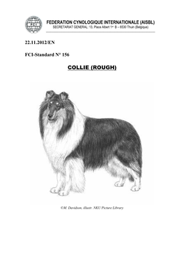 Collie (Rough)